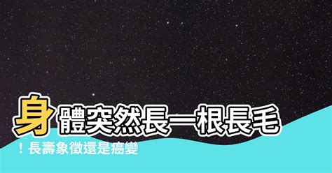 身體長白色的毛|身上有一根毛特別長，是長壽象徵，還是癌變前兆？